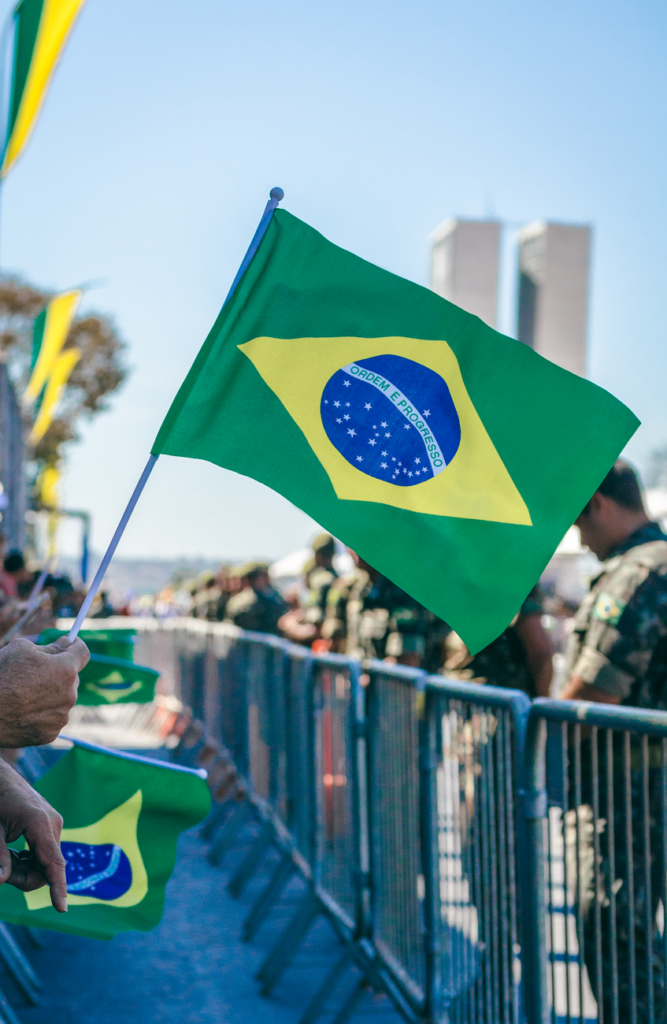 people with flags in a city